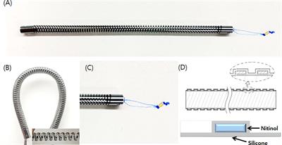 Development of novel biliary metal stent with coil-spring structure and its application in vivo swine biliary stricture model